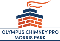 Olympus Chimney Pro